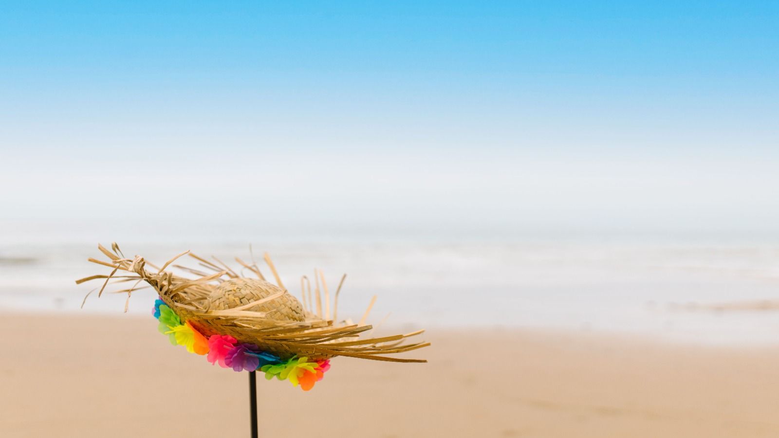 Aloha for a Cure: Cancer Awareness Fundraiser image